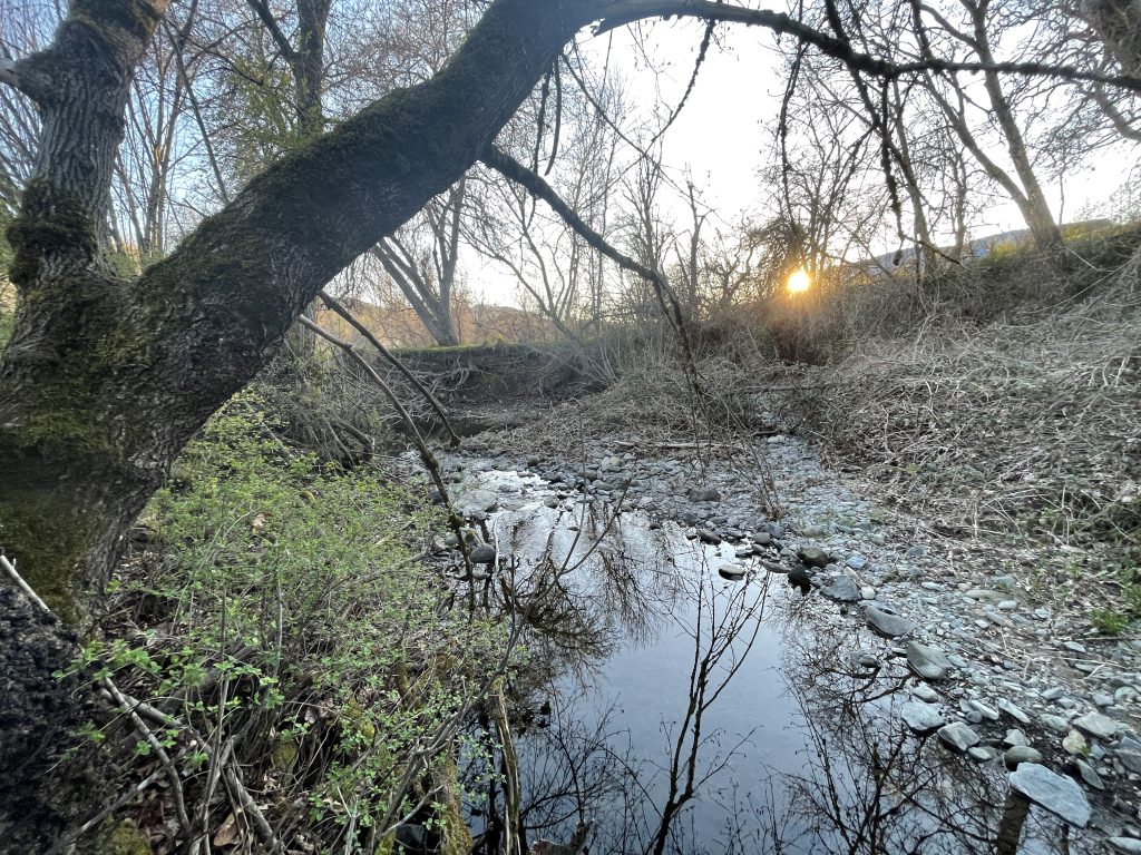 wards creek sunset